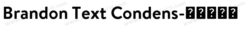 Brandon Text Condens字体转换